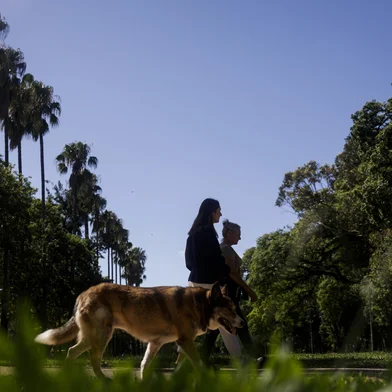 PORTO ALEGRE, RS, BRASIL, 04-01-2026: Domingo de sol no Parque Farroupilha (Redenção), em Porto Alegre. Calor deu uma trégua pela manhã na Capital, com temperatura mais amena. Foto: Mateus Bruxel/Agência RBSIndexador: MATEUS BRUXEL<!-- NICAID(16197436) -->