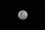 PORTO ALEGRE, RS, BRASIL, 12.07.2022: Lua crescente. Foto: Camila Hermes/Agencia RBSIndexador: Camila Hermes<!-- NICAID(15147499) -->