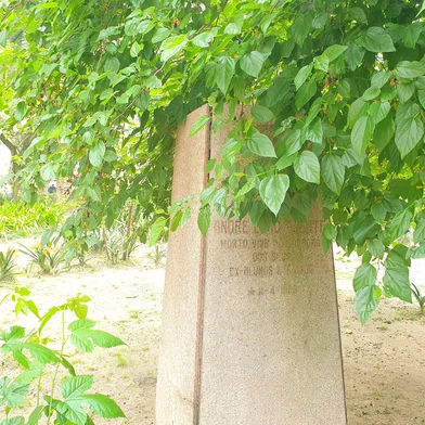 PORTO ALEGRE, RS, BRASIL - 19/09/2025 - O busto do professor André Puente foi furtado do local onde estava instalado na Praça da Matriz, no centro de Porto Alegre (Foto: Ian Tâmbara/Agencia RBS)<!-- NICAID(16128856) -->