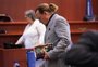 Fãs de Johnny Depp levam alpacas para tribunal; entenda o motivo