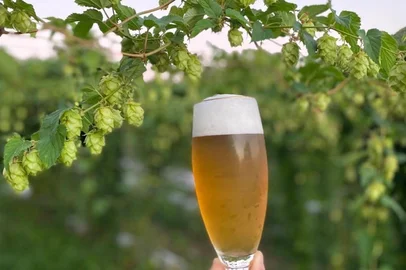 Kaltbier Cerveja Mesmo<!-- NICAID(16208279) -->