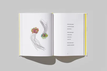 Sandra LingLivro "Sempre é outra superfície".<!-- NICAID(16125538) -->