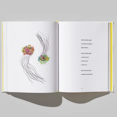 Sandra LingLivro "Sempre é outra superfície".<!-- NICAID(16125538) -->