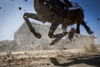PORTO ALEGRE, RS, BRASIL - 2024.11.10 - 115 anos de história no GP Bento Gonçalves no Jockey Clube. Durante o dia 10 de novembro, no Jockey Clube, em Porto Alegre, milhares de pessoas assistiram diversas corridas de cavalo no já tradicional evento. (Foto: André Ávila/ Agência RBS)Indexador: Andre Avila<!-- NICAID(15911187) -->