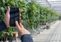 Por que mais de 80% das startups do agro na América Latina estão no Brasil