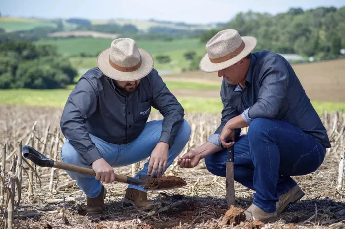 Coasa / Divulgação
