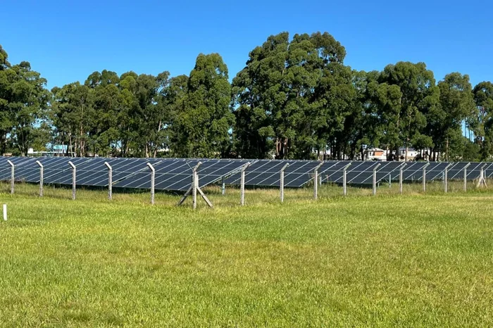 Julia Sassi / Furg / Divulgação