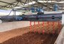 Propriedade de cultivo de oliveiras no RS transforma sobras em ganho à atividade