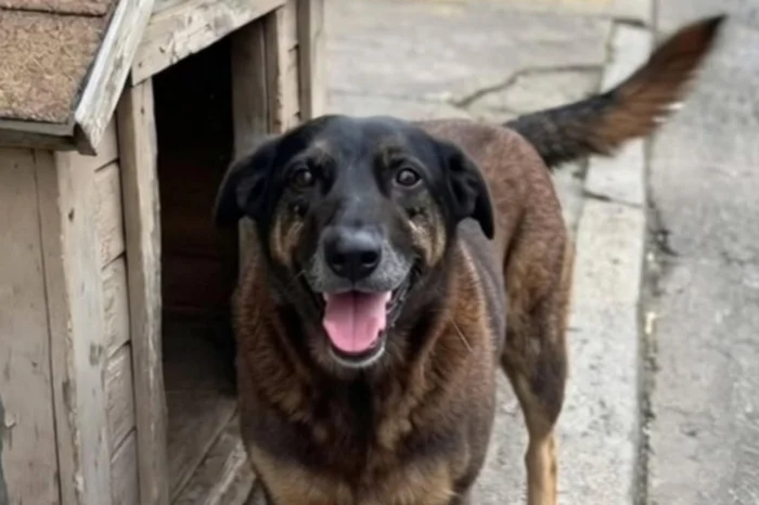 Instagram / Reprodução