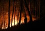Portugal confirma a morte de mais de mil pessoas em decorrência da onda de calor 
