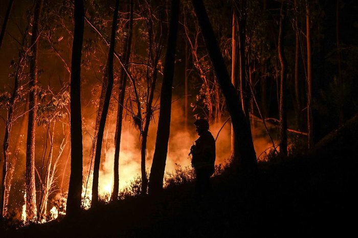 PATRICIA DE MELO MOREIRA / AFP