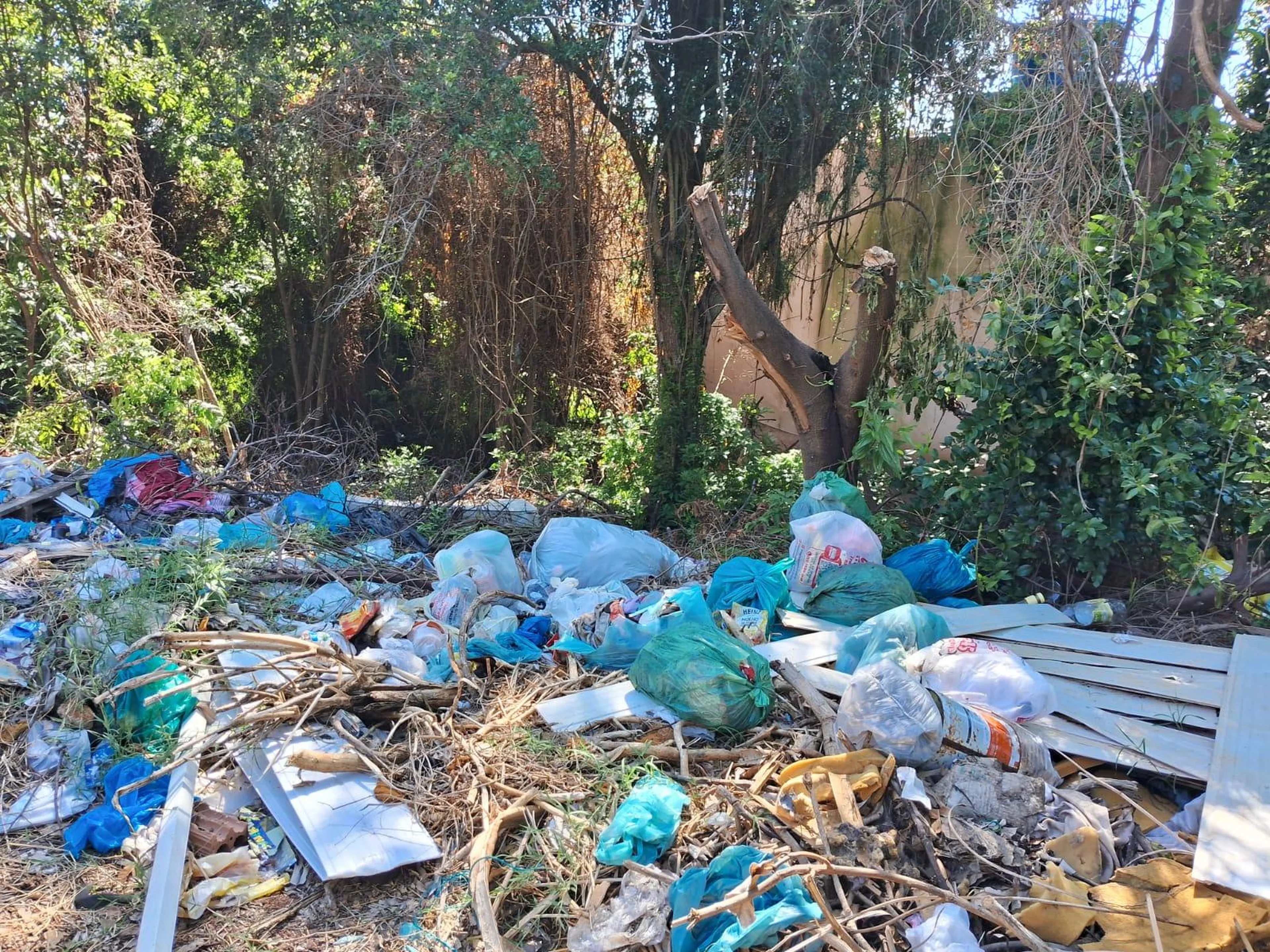 Alberto Vargas/Acervo Pessoal