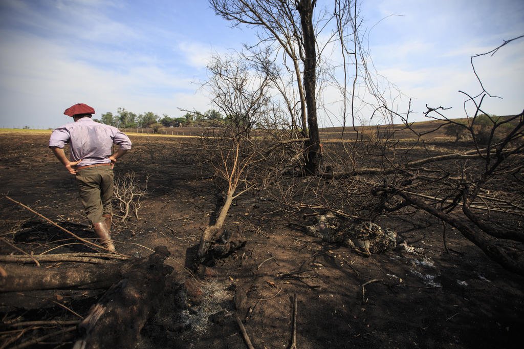 Queimadas consomem campos e rebanhos j&aacute; castigados pela estiagem na Fronteira Oeste