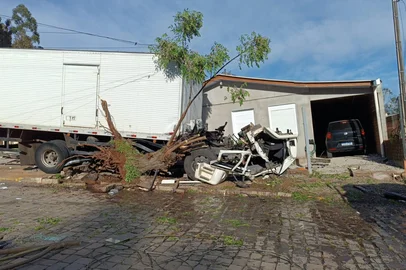 Caminhão sai da pista e invade terrenos de casas em Veranópolis; motorista é resgatado das ferragens. Acidente aconteceu na manhã desta terça-feira, no bairro Por do Sol. <!-- NICAID(16365889) -->