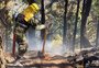 Número de incêndios florestais na Colômbia sobe em meio a recordes de calor
