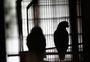 Até 80% das mortes de animais silvestres ocorrem durante resgate irregular