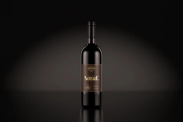 Lucas Radmann / Divulgação