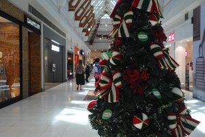 Bruno Todeschini / Agencia RBS