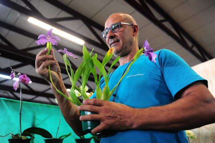 Bruno Todeschini / Agencia RBS