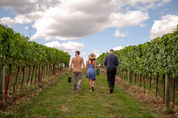 Zeto Telöken / divulgação Zeto Telöken / divulgação