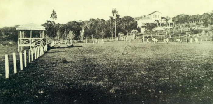 Reprodução / Museu do Grêmio - Hermínio Bittencourt