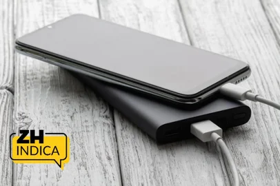 powerbank, zh indica<!-- NICAID(16202334) -->