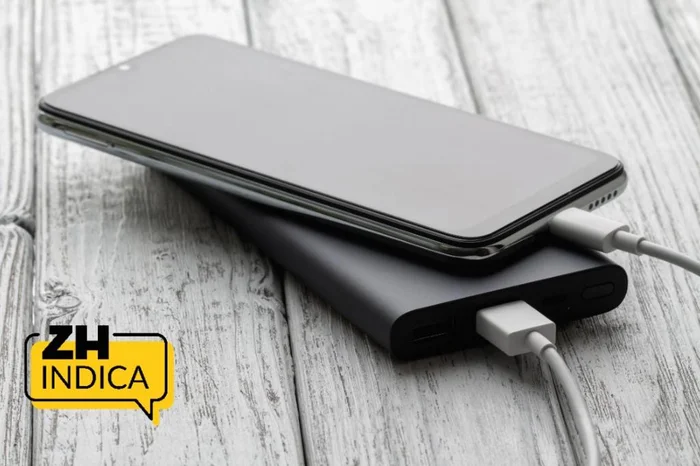 Reprodução / adobe.stock.com