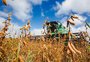 Gisele Loeblein: Qual o risco climático embutido na projeção de alta de até 2,5% no PIB do agro no Brasil 