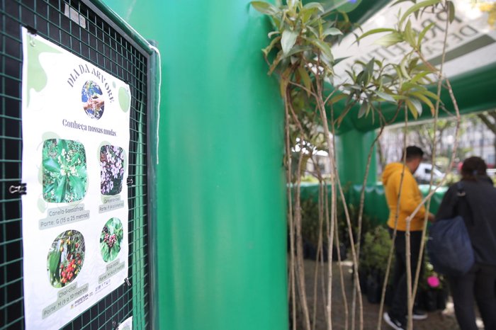 Neimar De Cesero / Agencia RBS Neimar De Cesero / Agencia RBS