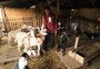 Quatro meses após enchente, família vive sob estrutura de ponte com 60 animais