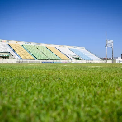 Floresta<!-- NICAID(16116424) -->