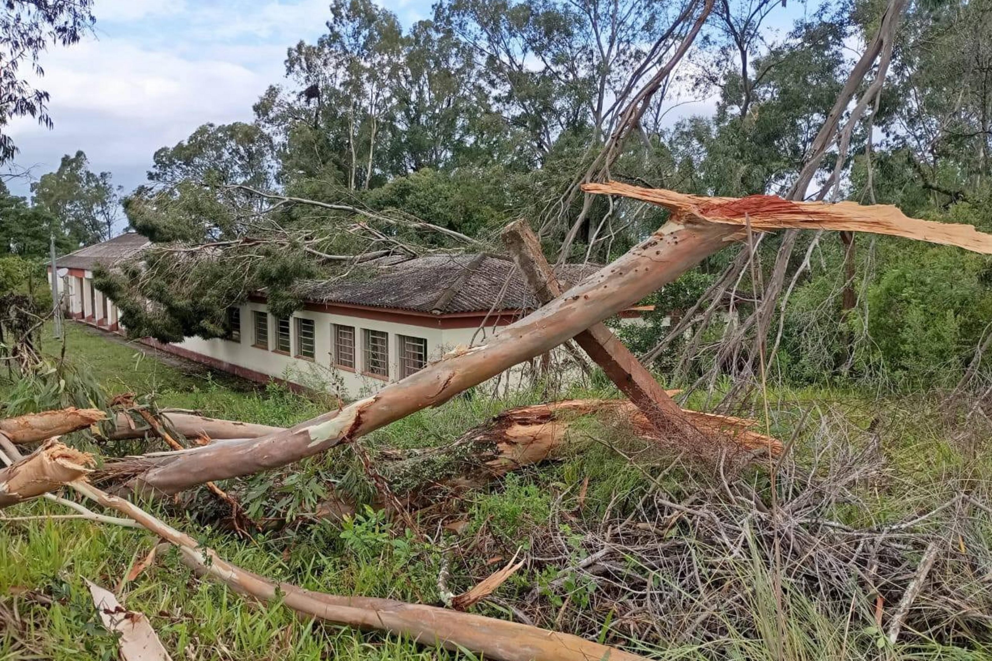 &ldquo;Foram de dois a tr&ecirc;s minutos de terror&rdquo;, relata morador ap&oacute;s vendaval em Pinheiro Machado
