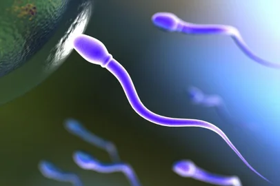 espermatozóide , fertilização , óvulo , reprodução, fecundação <!-- NICAID(8278911) -->