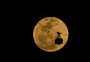 Calendário lunar: veja a data das fases da lua de setembro