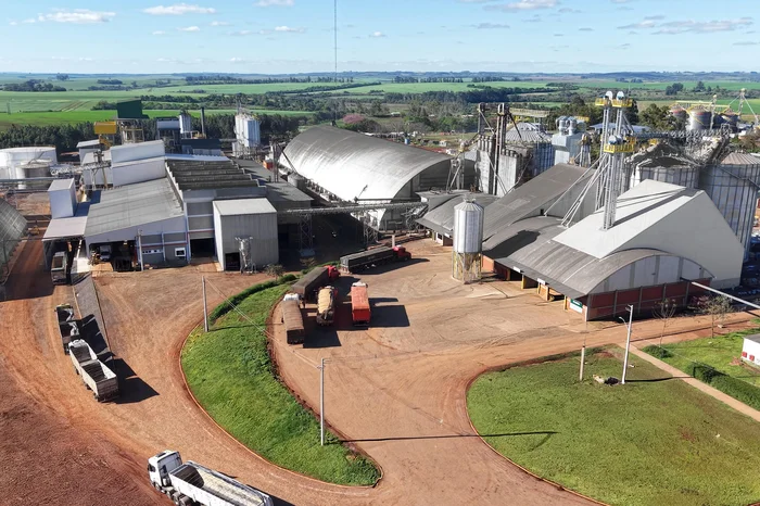 Grupo Camera / Divulgação