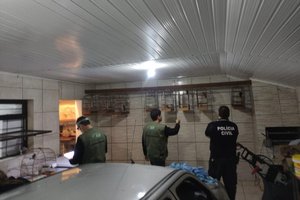 Polícia Civil / Divulgação
