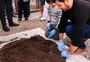 Com investimento de R$ 2,5 milhões, Corsan lança projeto para plantar 50 mil mudas nativas por ano no RS
