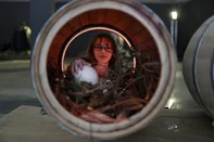 PORTO ALEGRE, RS, BRASIL, 11-12-2025: Live painting do Pipa Parade 2026 no DC Navegantes.  A ação integra a agenda de ativações que antecedem o Pipa Parade 2026 e busca aproximar o público do processo criativo que, no próximo ano, estará espalhado por 18 cidades do Rio Grande do Sul, fortalecendo a vindima gaúcha com muita arte, cultura e enoturismo. Foto: Renan Mattos / Agência RBS<!-- NICAID(16185044) -->