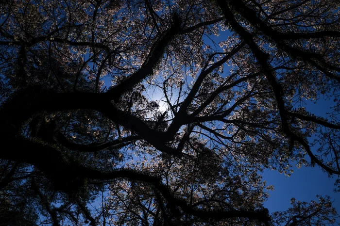 Renan Mattos / Agencia RBS