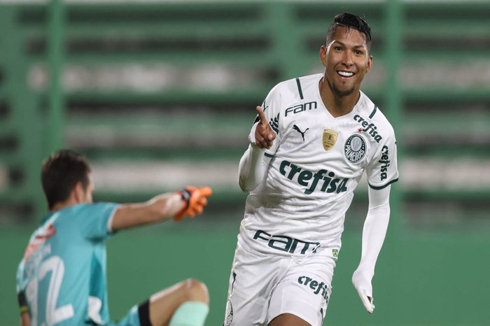 Divulgação / @Palmeiras