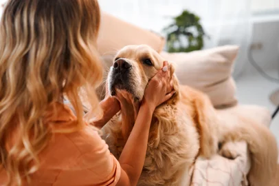Conexão intensa com cachorro reduz risco de depressão e ansiedade. Foto: HBS  / stock.adobe.comFonte: 689091966<!-- NICAID(15843986) -->