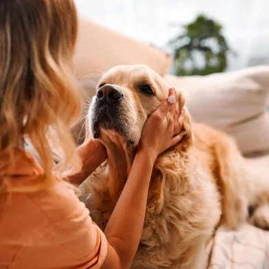 Conexão intensa com cachorro reduz risco de depressão e ansiedade. Foto: HBS  / stock.adobe.comFonte: 689091966<!-- NICAID(15843986) -->