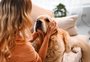 Dependência e ansiedade: veterinária explica por que excesso de atenção pode fazer mal aos bichinhos de estimação