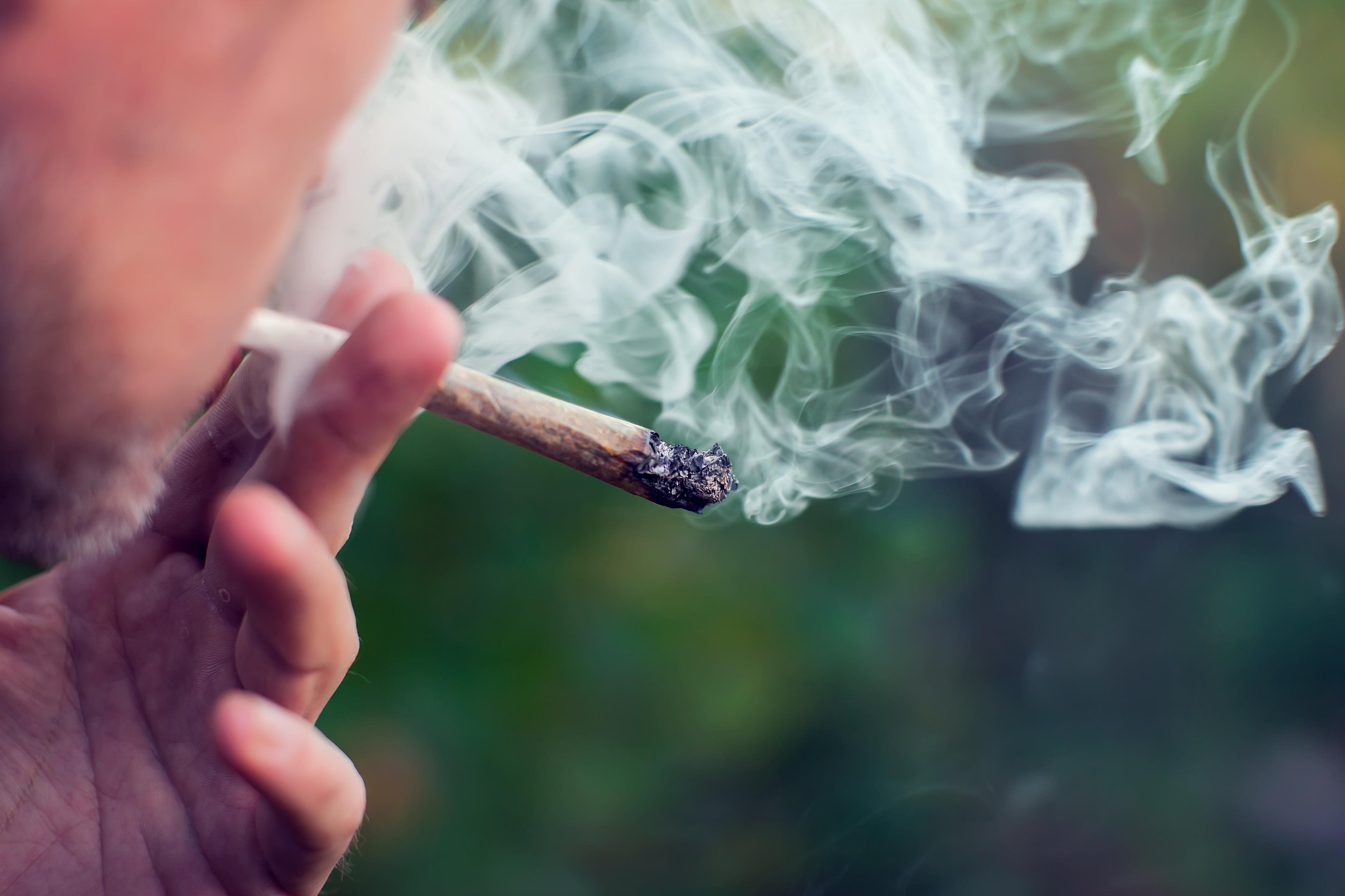 Porto Alegre &eacute; a segunda capital com maior consumo de maconha entre estudantes, aponta pesquisa