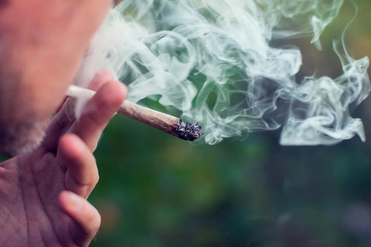 Reprodução/adobe.stock.com