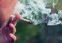 Porto Alegre é a segunda capital com maior consumo de maconha entre estudantes, aponta pesquisa