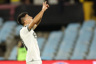 Thiago Almada, futebol, Botafogo