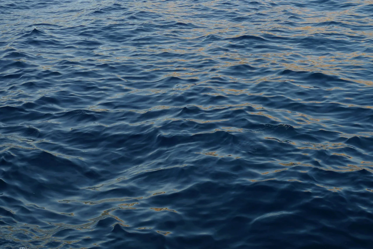 sogmiller/stock.adobe.com