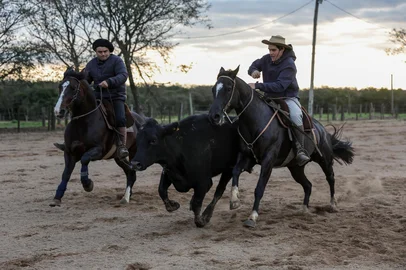 Aceguá, RS, Brasil – Criador, ginete e treinador de cavalos crioulos, Francisco Mogila se destaca na formação de campeões, unindo técnica, tradição e uma relação próxima com os animais. Nos últimos anos, ganhou ainda mais orgulho: seu filho Pancho também conquistou classificação para a final do Freio de Ouro.Indexador: jeff botega<!-- NICAID(16102269) -->