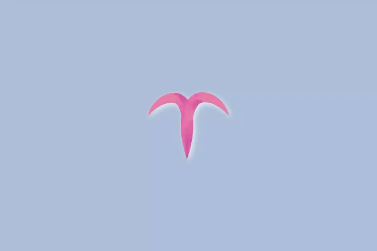 Morgenmuffell/Shutterstock | Portal EdiCase
